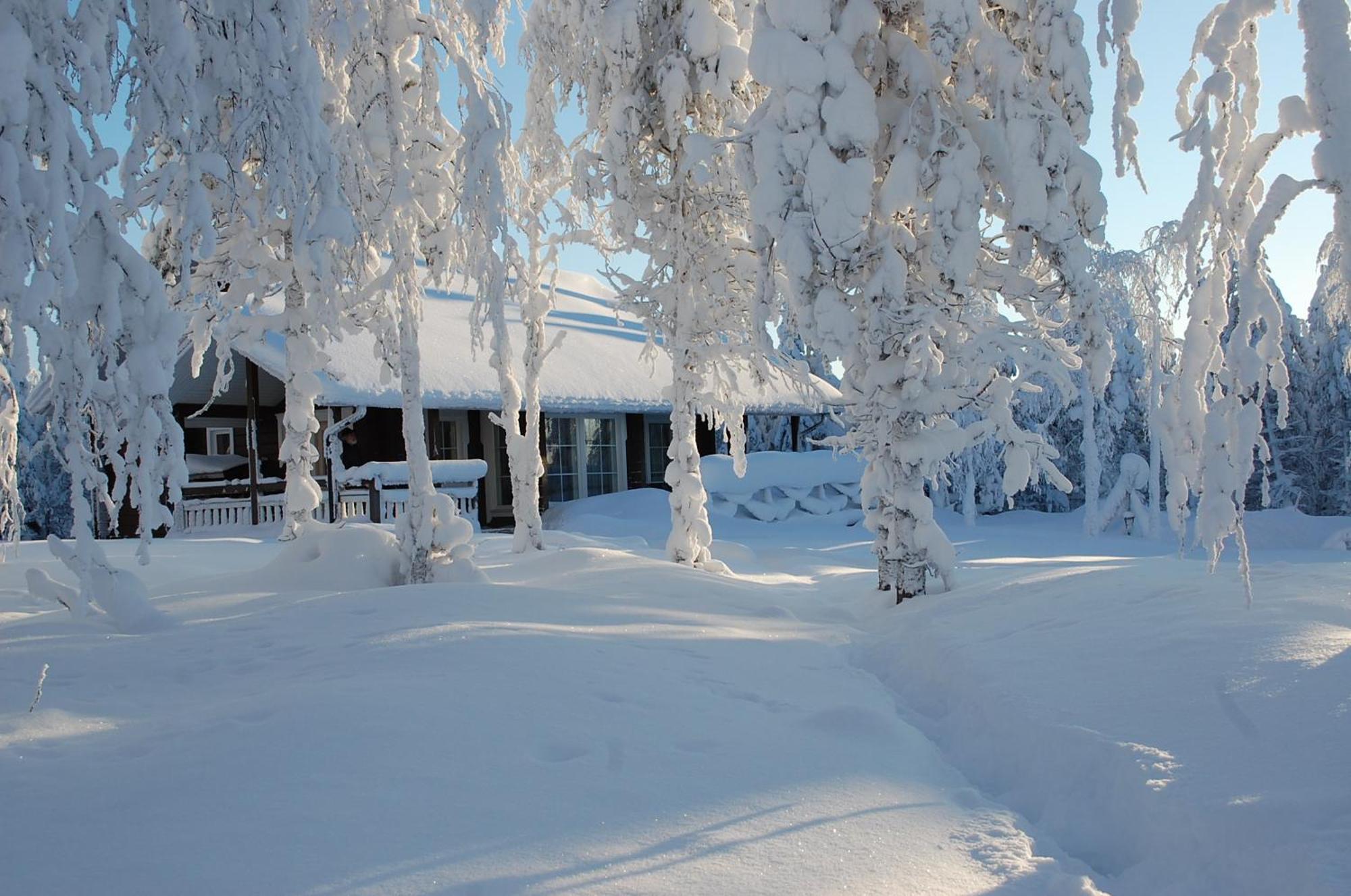 Rukanelioe Cottage Dış mekan fotoğraf