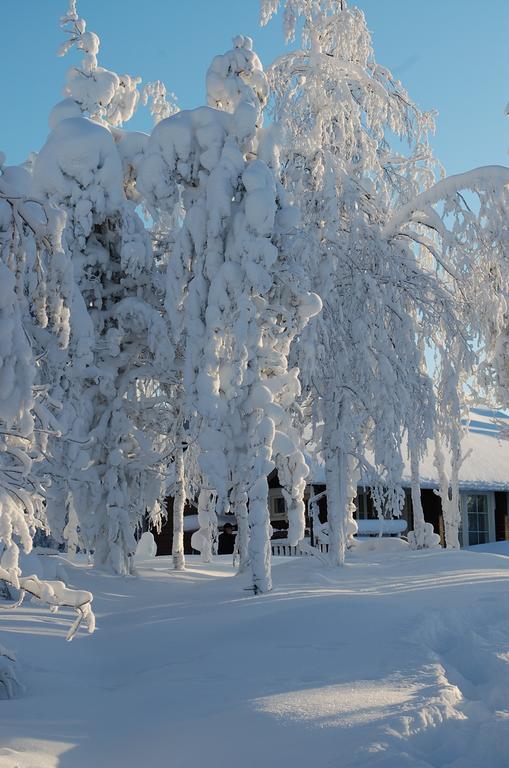 Rukanelioe Cottage Dış mekan fotoğraf